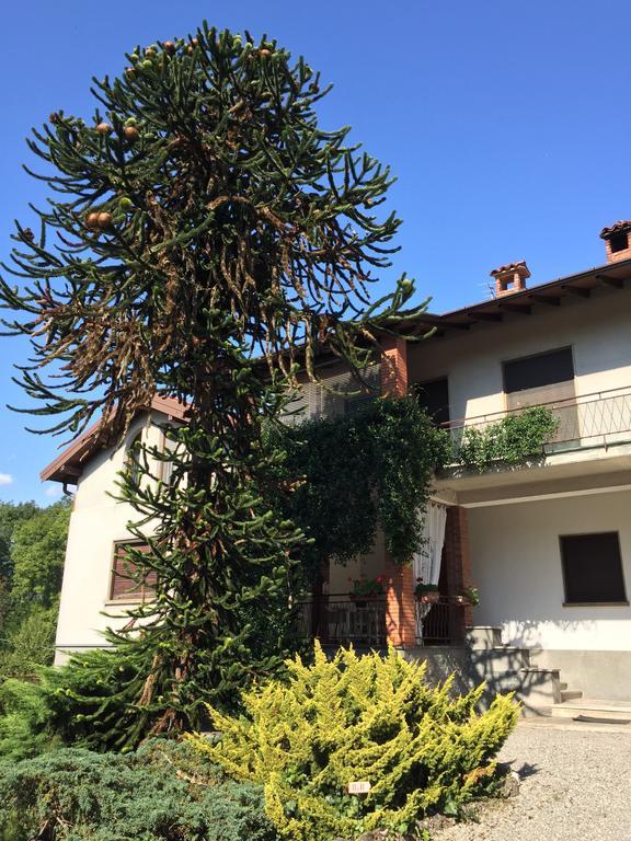 La Casa Creativa Bed and Breakfast Lomnago Esterno foto